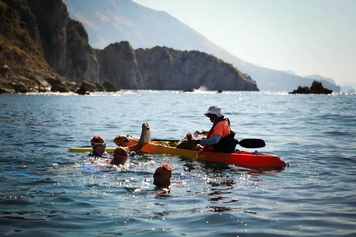 TRT's Ã–mer ÃœrÃ¼ndÃ¼l Analyzes Osimhen's Free Transfer to Galatasaray